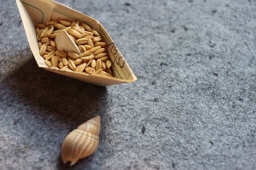 Free Boat Grain photo and picture