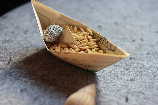 Free Paper Boat Shell photo and picture