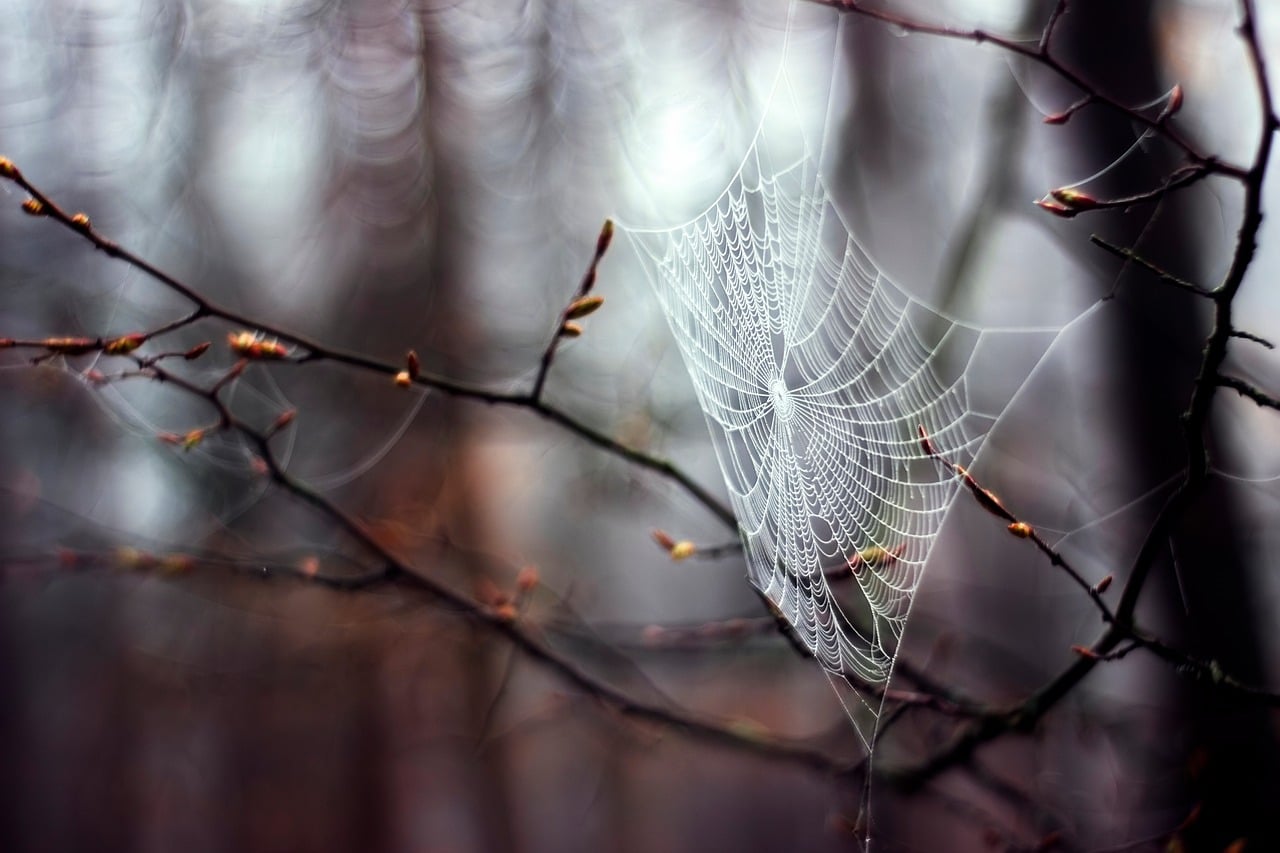 Nature - free online jigsaw puzzle photo