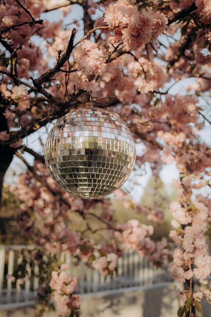 Free Disco Ball Sakura Flowers photo and picture