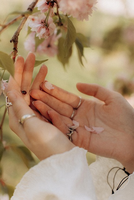 Free Hands Sakura Flowers photo and picture