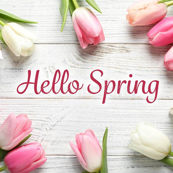 Tulipas, Primavera, Olá Primavera