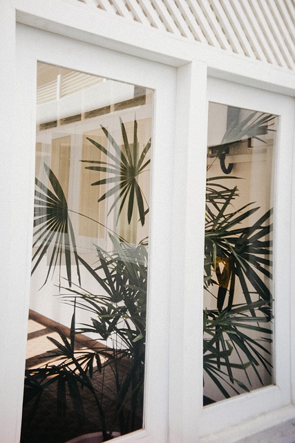 Free Palm White photo and picture
