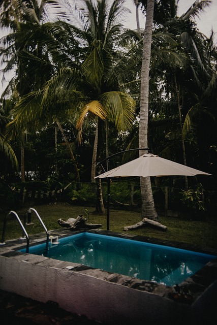Free Swimming Pool Nature photo and picture