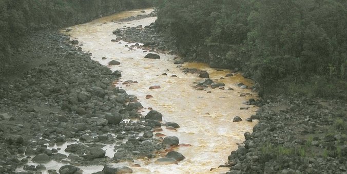 Free River Rocky photo and picture