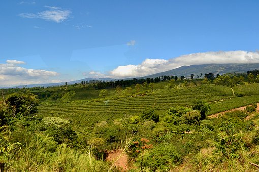 Free Landscape Agriculture photo and picture