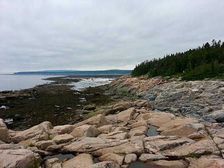 Free River Coast photo and picture