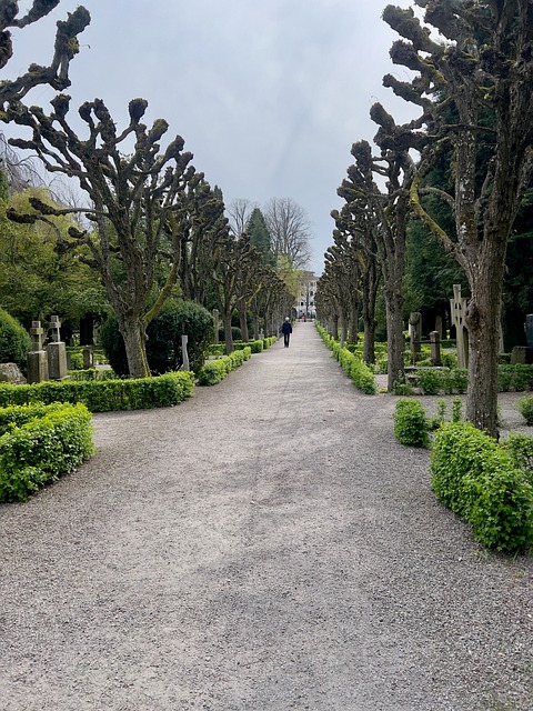 Free Avenue Person Walking photo and picture