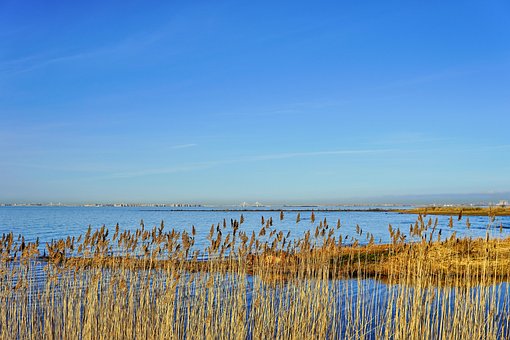 Free Sea Nature photo and picture