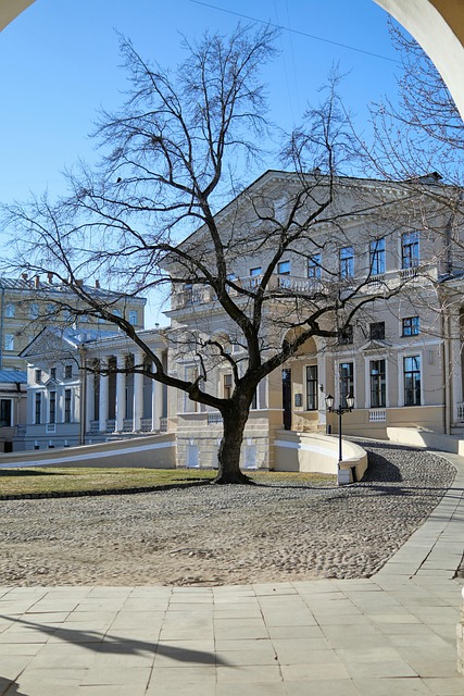 Free Tree Architecture photo and picture