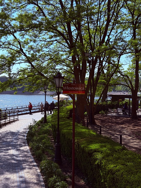 Park, Baum, Weg, Bank, Fluss, Bäume