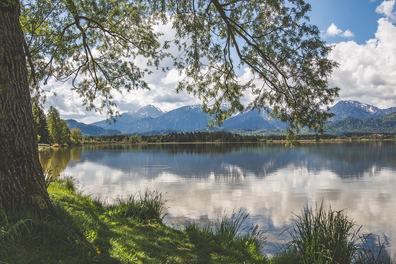 Landscape - free online jigsaw puzzle photo