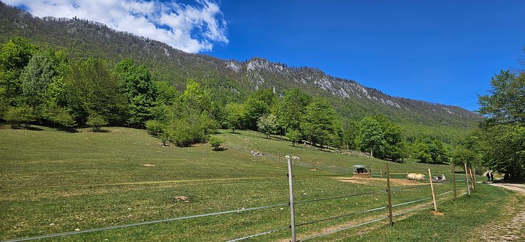 Naturaleza, Rocas, Bosque, Montañas
