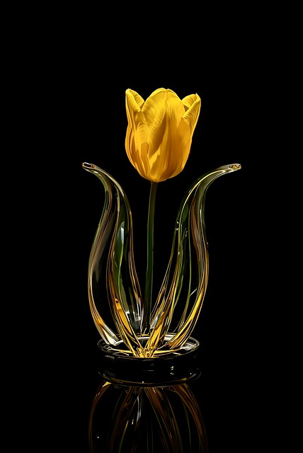 Free Tulip Yellow illustration and picture