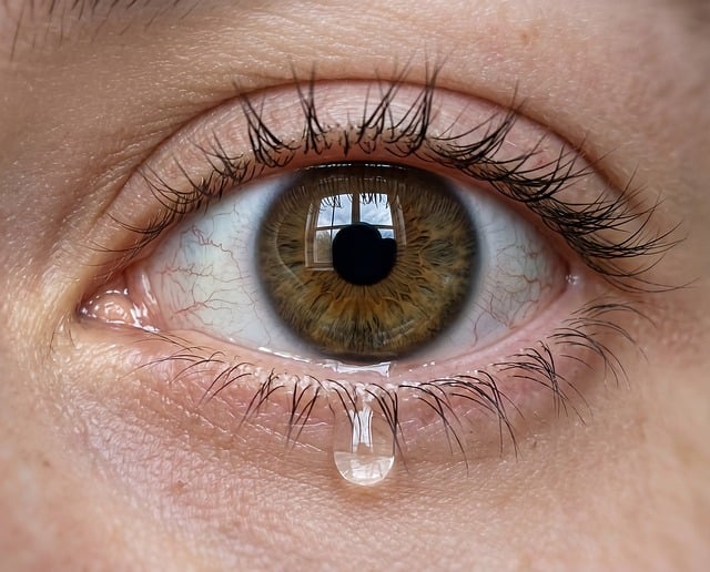 Free eye tear reflection illustration