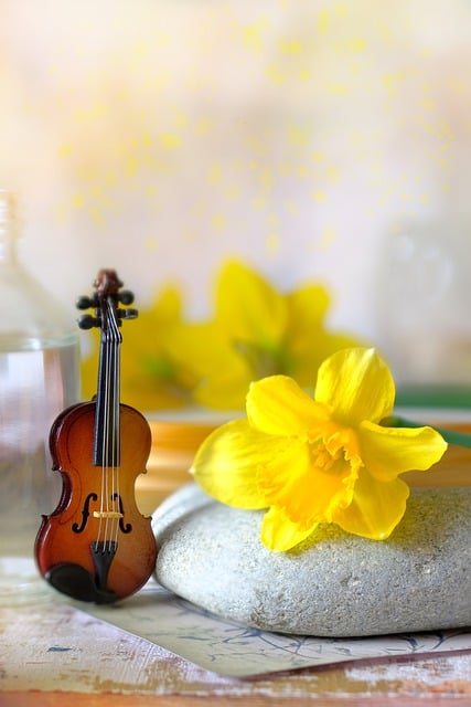 Violino Em Miniatura, Narciso