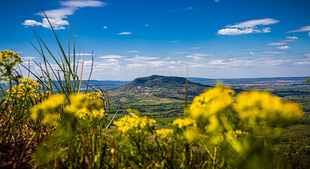 Balaton, Ungarn, Natur, Badacsony