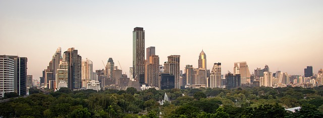 Free Skyscraper Cityscape photo and picture