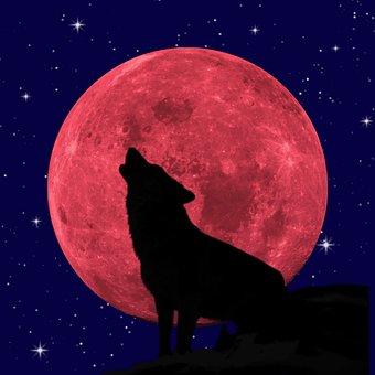 Wolf, Blutmond, Heulen, Astronomie
