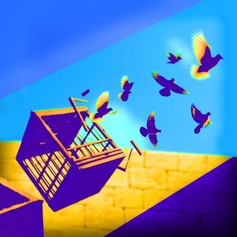 Free Doves Fountain illustration and picture