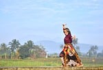 Random: dancer, traditional dance, batik, cultural dance, indonesia, dancing in countryside, traditional costume, palm trees, natural scenery, woman, landscape, blue sky, rural, artistic performance, culture, traditional clothing, woman dancing, outdoor performance, art, empty road
