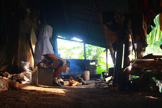 Free Rural Hut photo and picture