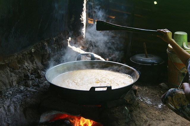 Free Cooking Open Fire photo and picture