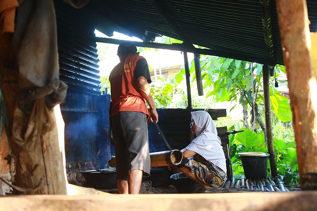 Free Cooking Outdoor photo and picture