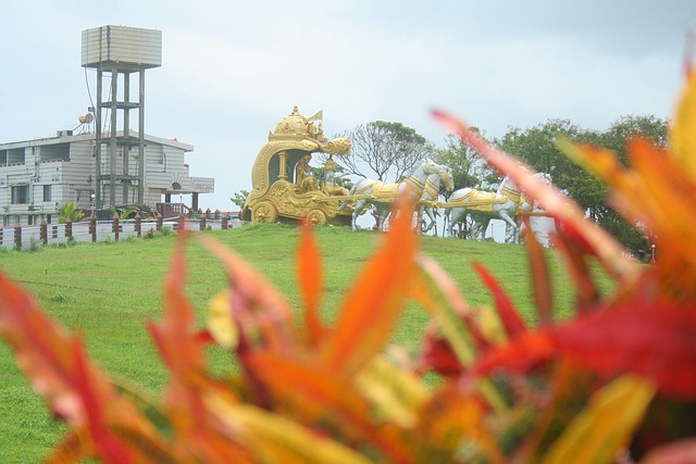 Free Golden Chariot Green Grass photo and picture