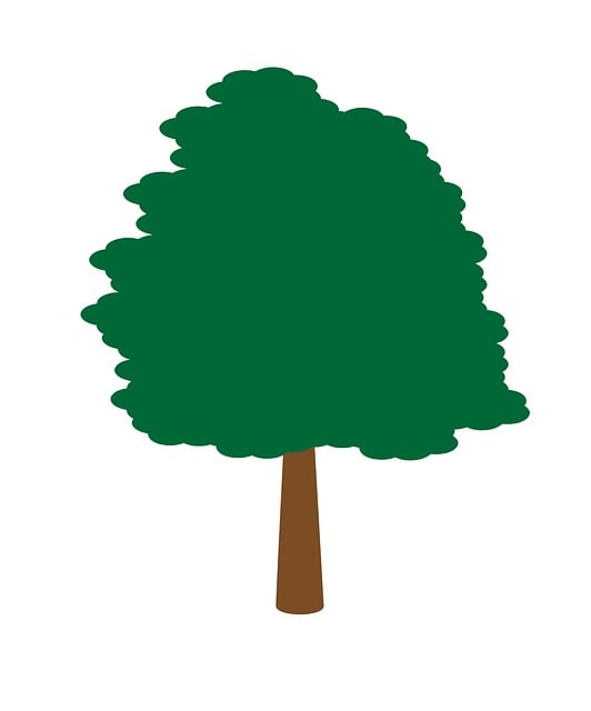 Tre, Tegneserie, Natur, Plante, Løvtre
