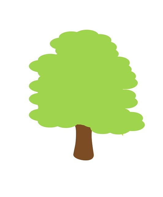 Tre, Tegneserie, Natur, Plante