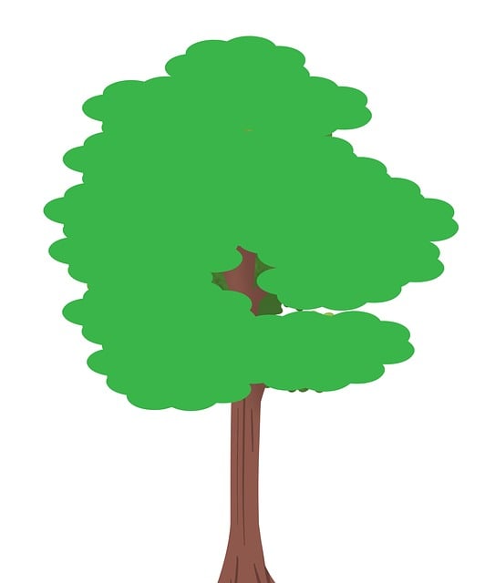 Tre, Tegneserie, Natur, Plante