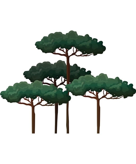 Tre, Tegneserie, Natur, Plante, Grønn