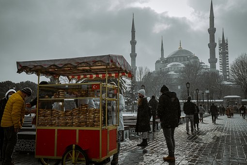 Free Chaos Turkey photo and picture