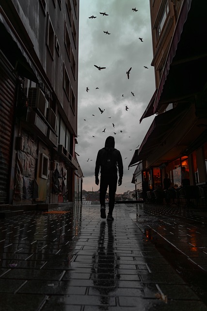 Free Street Rain photo and picture