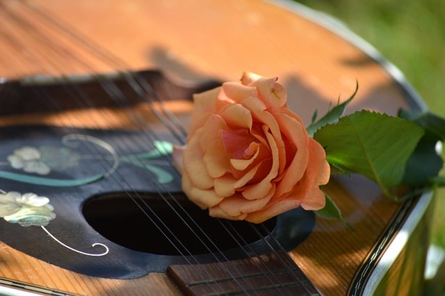 Mandolína, Gitara, Kvet, Ruža