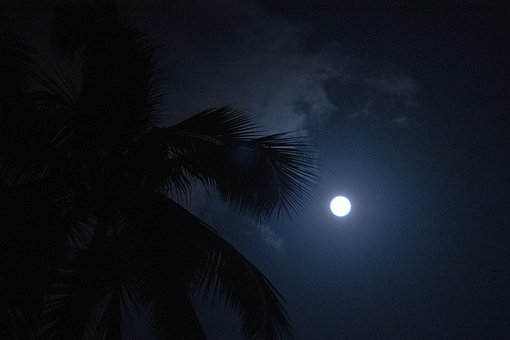Free Moon Full Moon photo and picture