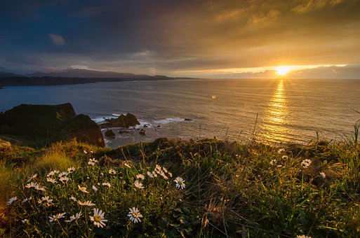 Sonnenuntergang, Meer, Ozean, Blumen