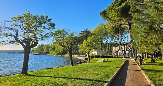 Free Lake Trees photo and picture