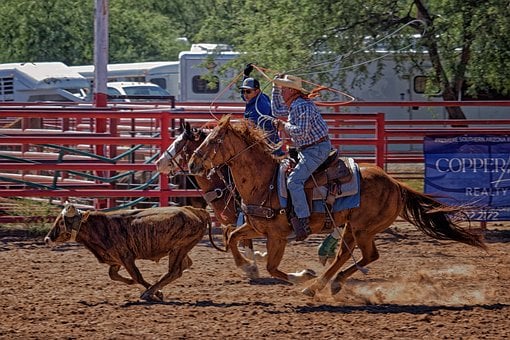 Free Rodeo Western photo and picture