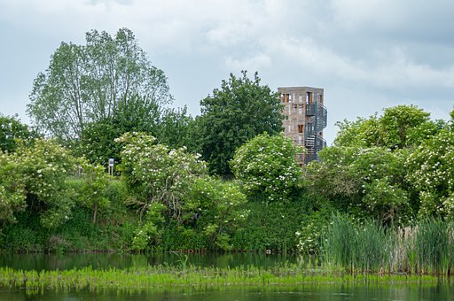 Natur, Landschaft, Reservat