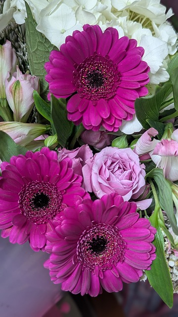 Blomster, Buket, Gerbera, Roser, Lyserød