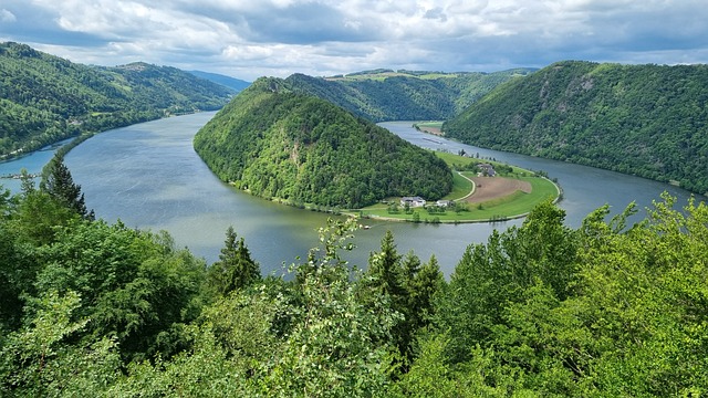 Fluss, Natur, Wald, Ansicht, Grün, Donau
