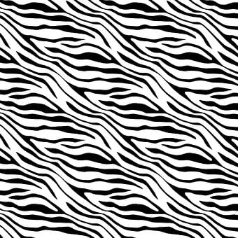 Free Zebra Pattern illustration and picture