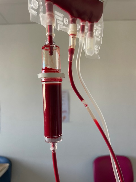 Free Blood Transfusion Blood photo and picture