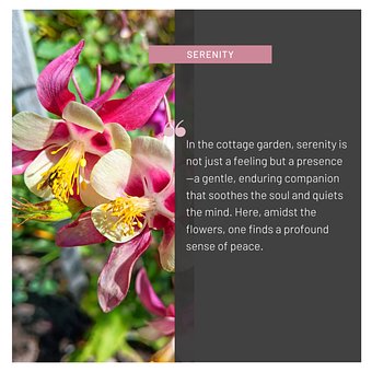 Free Flora Garden photo and picture