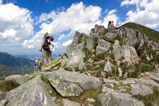 Tatra, Wandern, Felsen, Sommer, Panorama