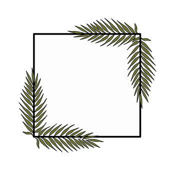 Free Palm Leaf Frame illustration and picture