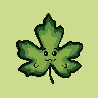 Free Cartoon Leaf illustration and picture