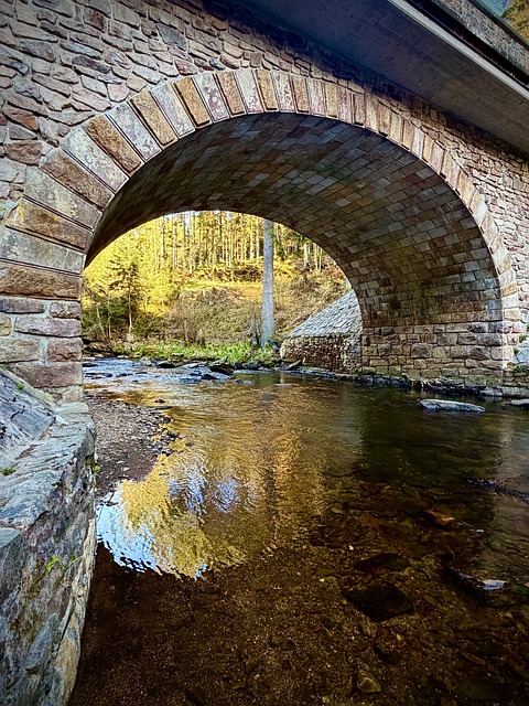 Free Stone Arch Bridge Forest photo and picture